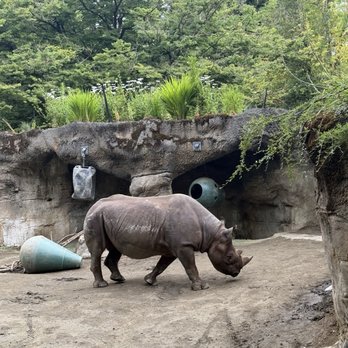 Oregon Zoo - Zoos Near Me - Portland, Oregon Oregon Zoo - Zoos Near Me - Portland, Oregon