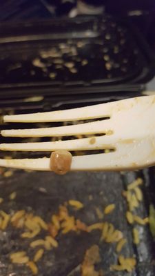 The Chicken & Rice Guys by null
