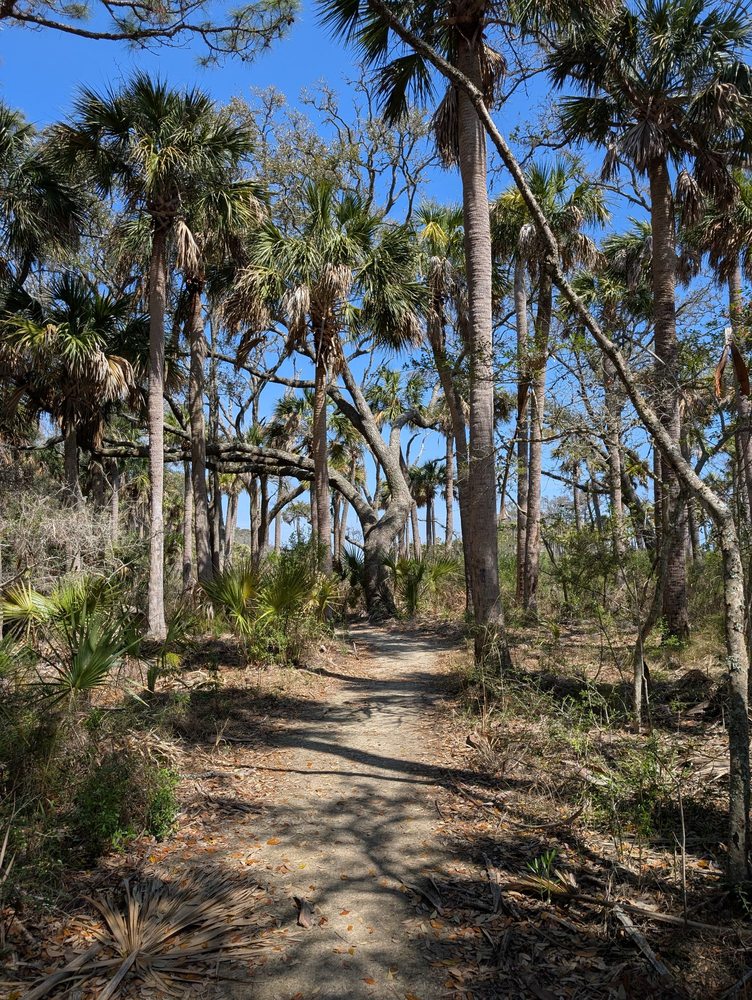 Hunting Island State Park Logo