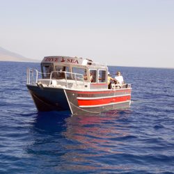 Dive & Sea Maui