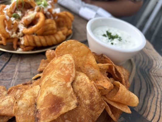 Darling Aviary by null