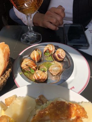 Au Cadet de Gascogne by null