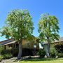 Photo of Douglas Tree Service