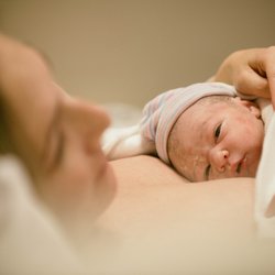 Ever Bloom Birth