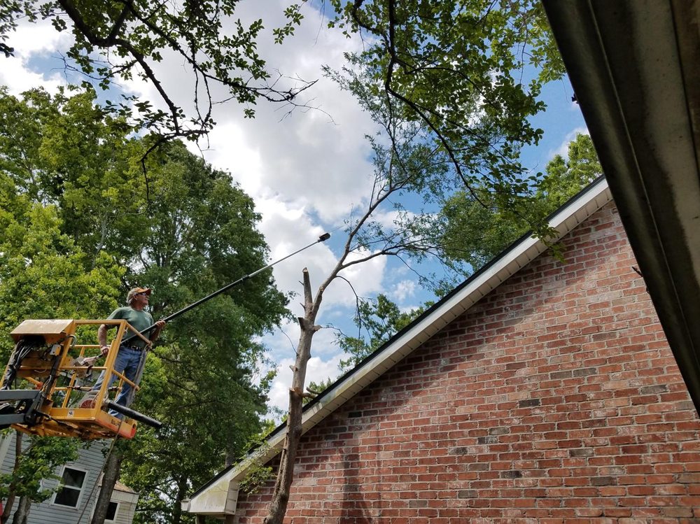 Kelley's Tree Service - tree service in Baton Rouge, LA
