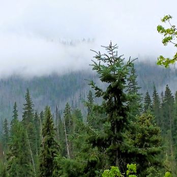 Lochsa Lodge - The view at Lochsa Lodge - Resorts Near Me - Lolo, Montana