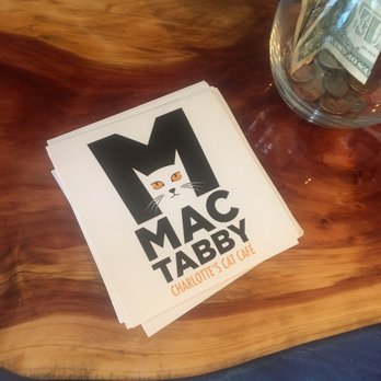 Mac Tabby Cat Cafe - Themed Cafes Near Me - Charlotte, North Carolina Mac Tabby Cat Cafe - Themed Cafes Near Me - Charlotte, North Carolina