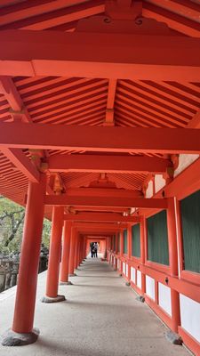 Kasugataisha Shrine by null