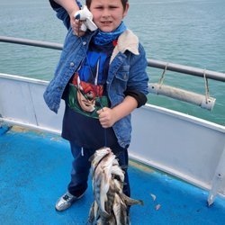 Dolphin Docks - Bay Fishing