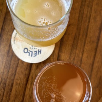 Hello Brew - Oz & violet beer- so good! - Breweries Near Me - Fort Collins, Colorado
