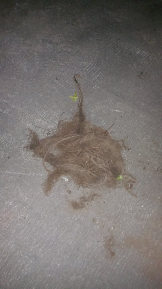 Slide of Roto-Rooter Plumbing & Water Cleanup