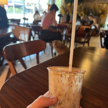 Studio 24 - Amazing Tiramisu latte - Coffee & Tea Near Me - Miami, Florida
