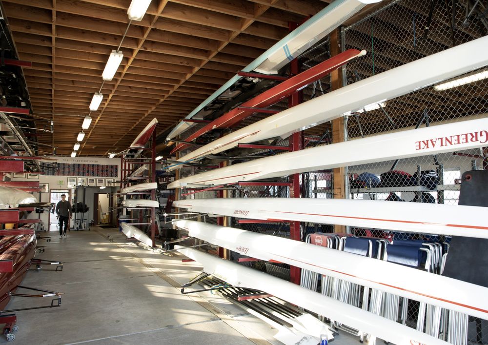 LA Lions Rowing Club Logo