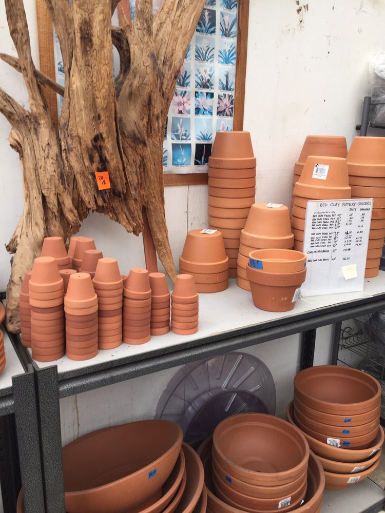 LEUCADIA NURSERY Updated September 2024 950 Brittany Rd, Encinitas