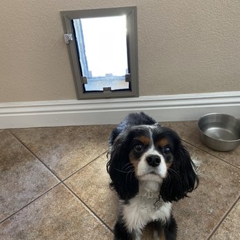 Doors 4 Mutts - Pet Services Near Me - Henderson, Nevada Doors 4 Mutts - Pet Services Near Me - Henderson, Nevada