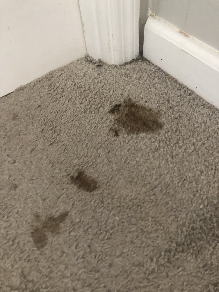 CENTURY 21 JEFF KELLER REALTY Updated September 2024 2448 Lumpkin