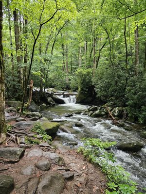 Roaring Fork Motor Nature Trail by null