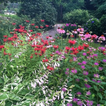 Puffin Inn Bed & Breakfast - Back Yard - Bed & Breakfast Near Me - Ogunquit, Maine