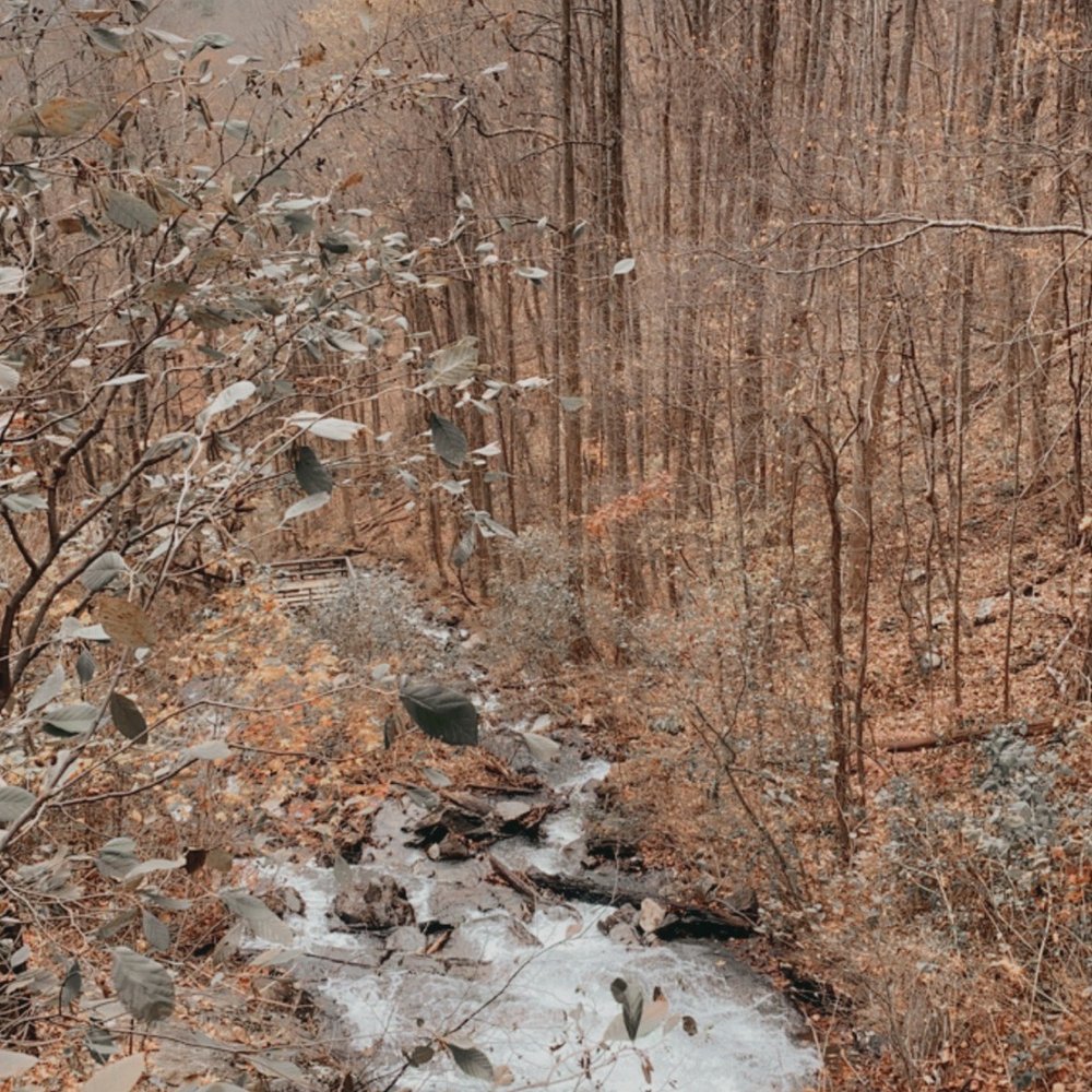 The Best 10 Campgrounds near Amicalola Falls State Park in Dawsonville