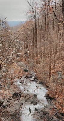 AMICALOLA FALLS STATE PARK - Updated November 2024 - 847 Photos & 162