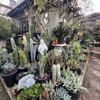 Clement Nursery - Nurseries & Gardening Near Me - San Francisco, California Clement Nursery - Nurseries & Gardening Near Me - San Francisco, California