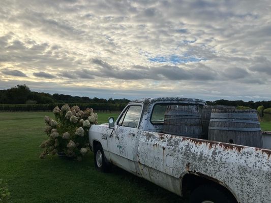 Ev&Em Vineyards by null