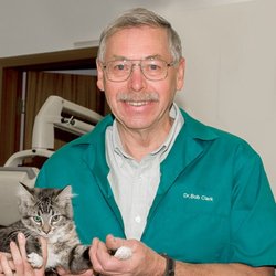 Cranbrook Veterinary Hospital - Cranbrook Veterinary Hospital