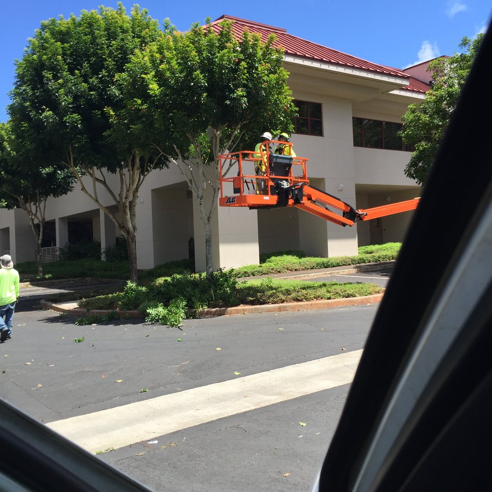 LONE STAR ARBORIST Updated September 2024 15 Photos 160 S