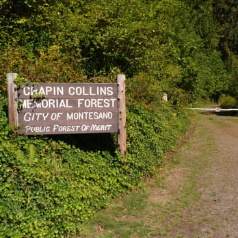 Lake Sylvia State Park - Start of the Lake Trail, on the west side of the lake. - Parks Near Me - Montesano, Washington Lake Sylvia State Park - Start of the Lake Trail, on the west side of the lake. - Parks Near Me - Montesano, Washington
