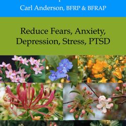 Bach Flower Remedies & Consultations