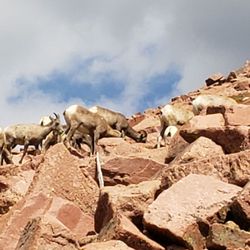 Manitou Springs Adventures, High Country Excursions