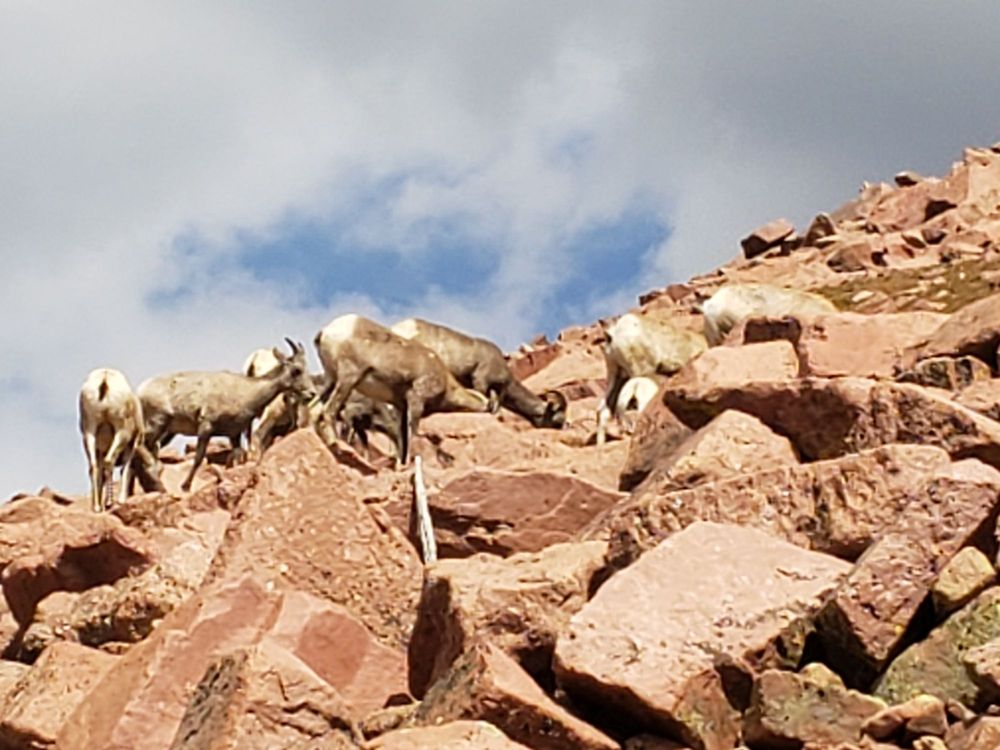 MANITOU SPRINGS ADVENTURES, HIGH COUNTRY EXCURSIONS Updated September