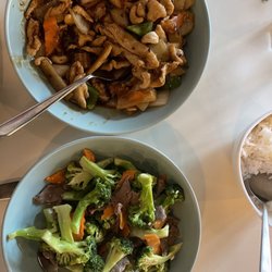 Modern Orchid - Kung Po Chicken and Beef with broccoli