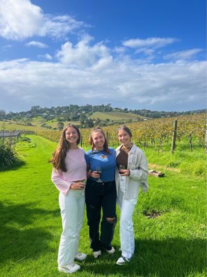 Te Motu Vineyard by null