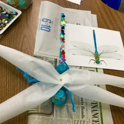 Dragonfly