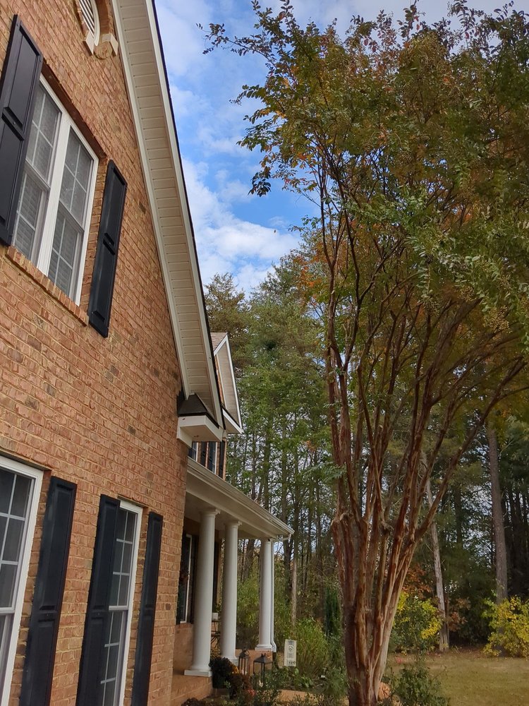 Samuel Sousa Landscape & Tree Service - tree service in Richmond, VA