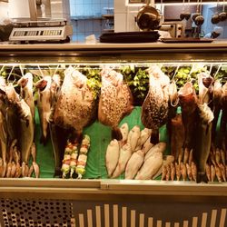 Calipso Fish - Balık vitrini