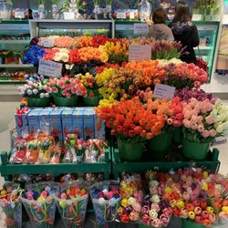 House Of Tulips - Tulips for sale