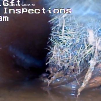 Barrie Inspections - This home had broken sewer piping with roots obstructing half the diameter. Only found due to having a sewer inspection! - Home Inspectors Near Me - Brazoria, Texas Barrie Inspections - This home had broken sewer piping with roots obstructing half the diameter. Only found due to having a sewer inspection! - Home Inspectors Near Me - Brazoria, Texas