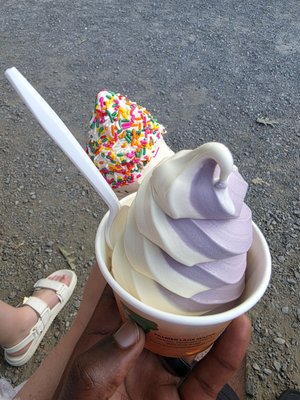 Palmer Lane Maple by null