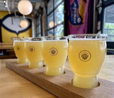 HopFly Brewing Company by null