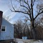 Photo of Cedar Stone Tree Works