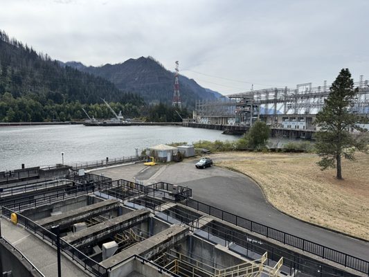 Bonneville Fish Hatchery by null