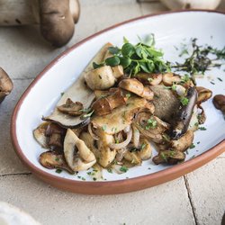 PAZ - Chapa seared mix mushroom