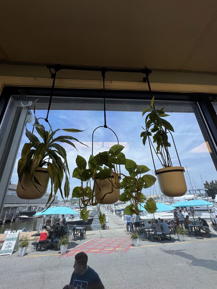 The Annapolis Cup Café