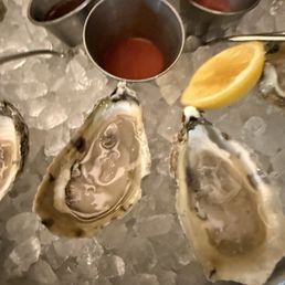 Oysters Oysters