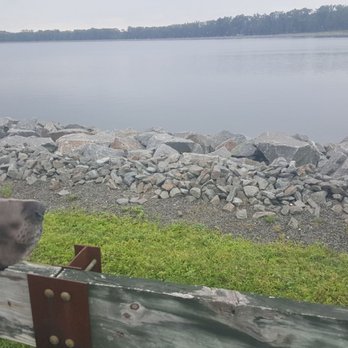 Brick Reservoir - View (and my dogs nose) - Lakes Near Me - Brick, New Jersey