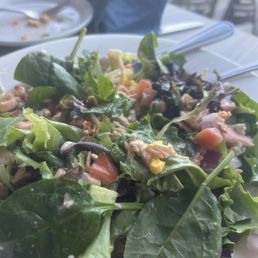 Cobb salad with salmon which Cobb salad with salmon which