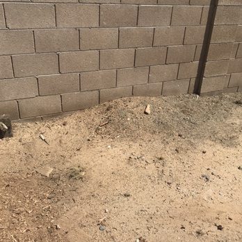 Arbor Care Tree Service - Back yard stump gone, including stump grinding. - Tree Services Near Me Arbor Care Tree Service - Back yard stump gone, including stump grinding. - Tree Services Near Me