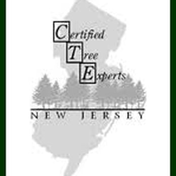 Precision Tree & Landscape - Owner Mike Virgil is a Certified Tree Expert per the NJDEP - Tree Services Near Me - Hackettstown, New Jersey